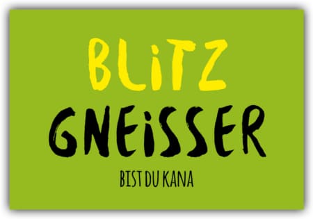 playa Kühlschrankmagnet #262 Blitzgneisser