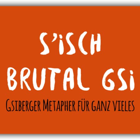 playa Kühlschrankmagnet #293 S'isch brutal gsi